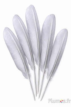 Schwan mit Silberschleier - 30-33 cm - weiss